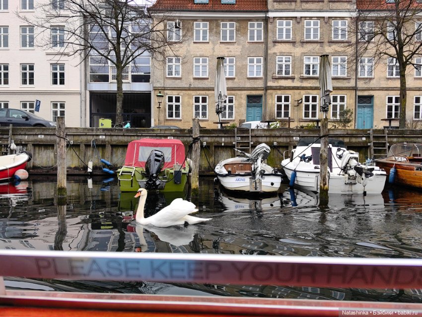 Музыкальная История 116 — Туризм и путешествия: фотоотчеты из поездок