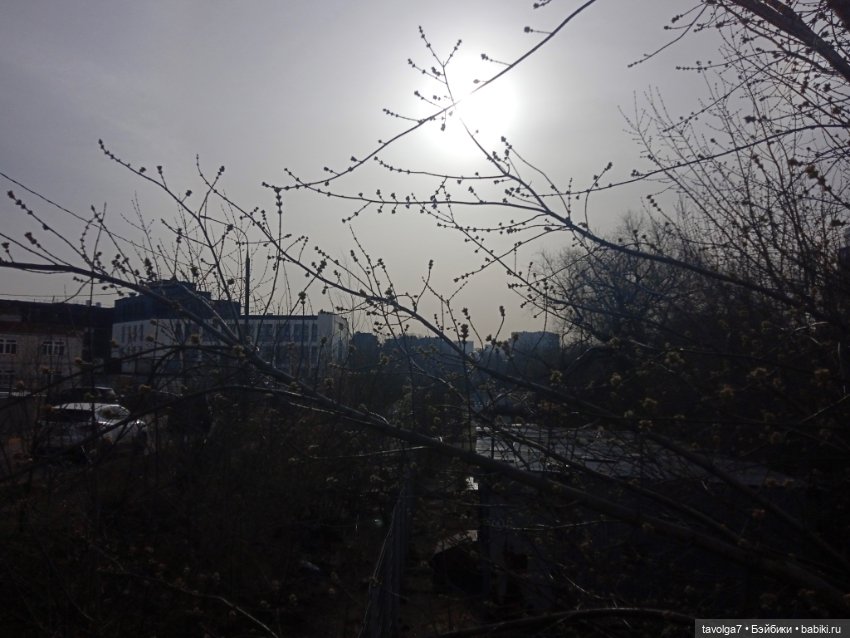 Лило и весна в Москве — Игровые куклы разных производителей (Разное): редкие бренды