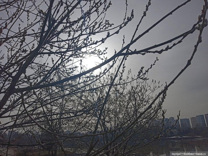 Лило и весна в Москве — Игровые куклы разных производителей (Разное): редкие бренды (фото 5)