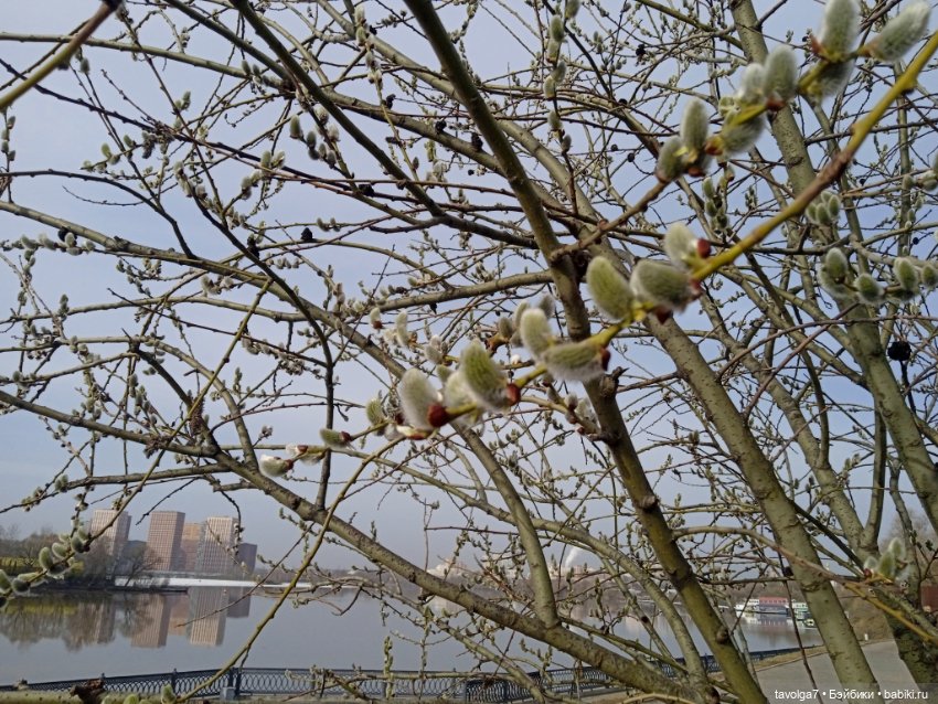 Лило и весна в Москве — Игровые куклы разных производителей (Разное): редкие бренды (фото 8)