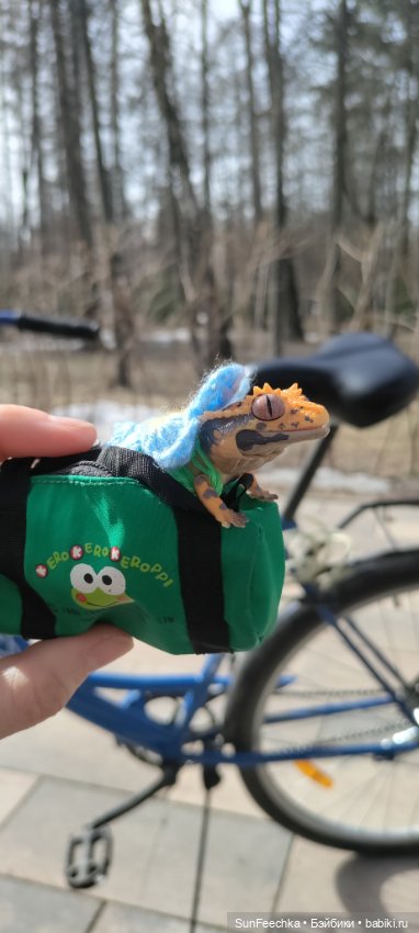 Гошка везде сущий — Коллекционные экшн