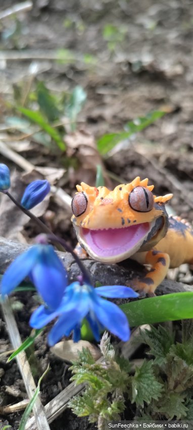 Гошка везде сущий — Коллекционные экшн