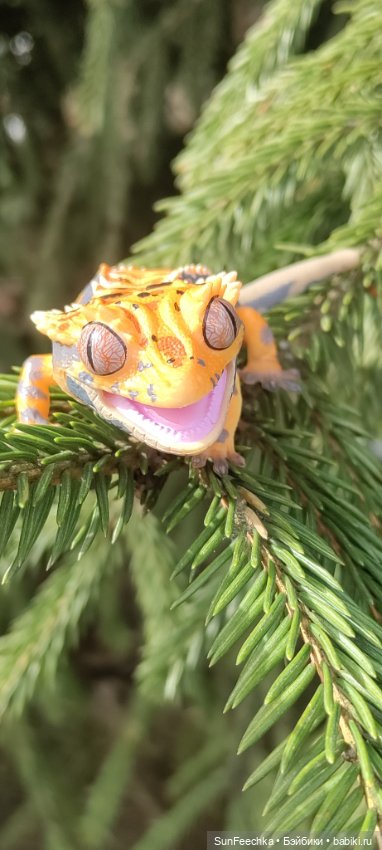 Гошка везде сущий — Коллекционные экшн (фото 8)