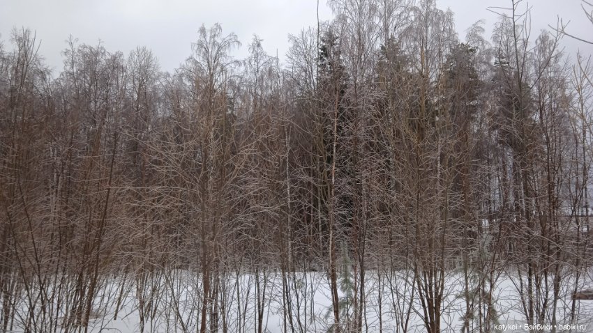 (Чай) Год без сахара — Болталка и разговоры обо всем: жизнь
