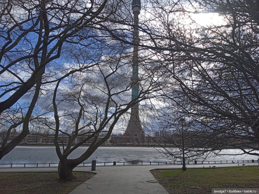 Саша Спилберг на прогулке (фото 5)