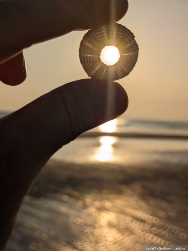 Кузя и Фёдор — Авторские мишки Тедди и друзья: фото