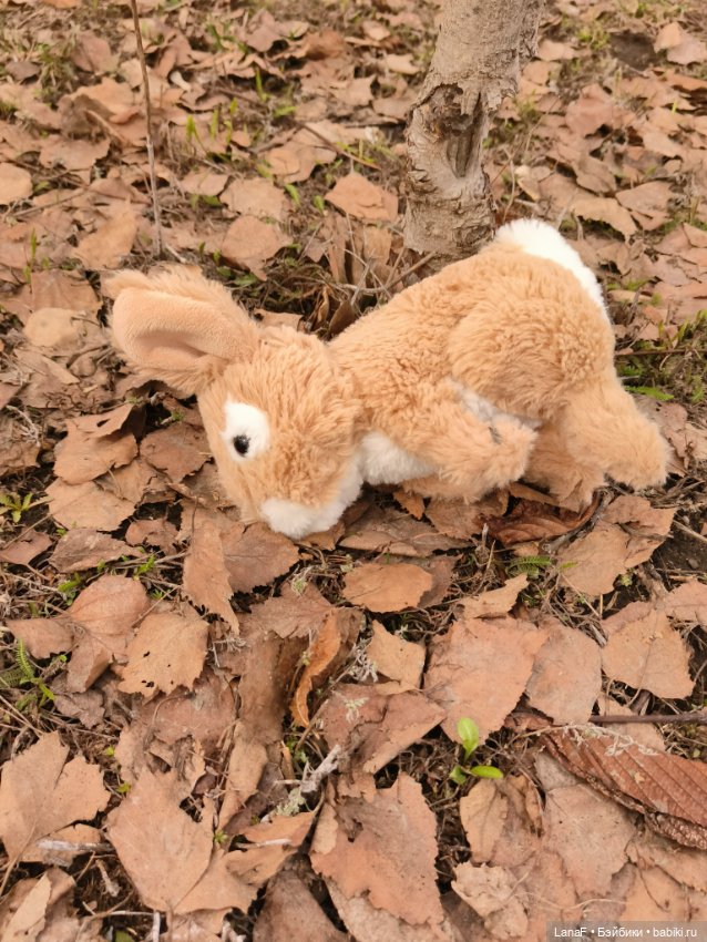 Как Эльза с Лютиком в парке гуляла...(Пепита Антонио Хуан) (фото 10)