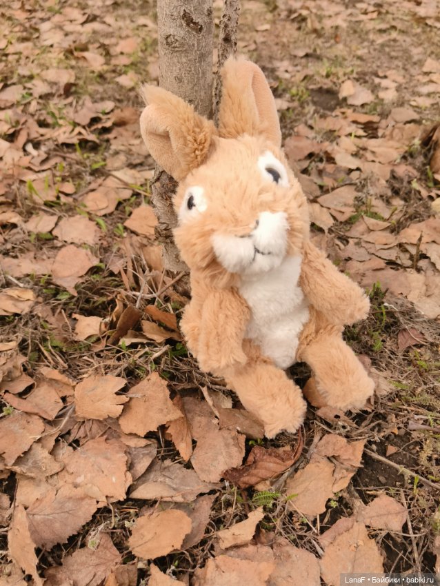 Как Эльза с Лютиком в парке гуляла...(Пепита Антонио Хуан)