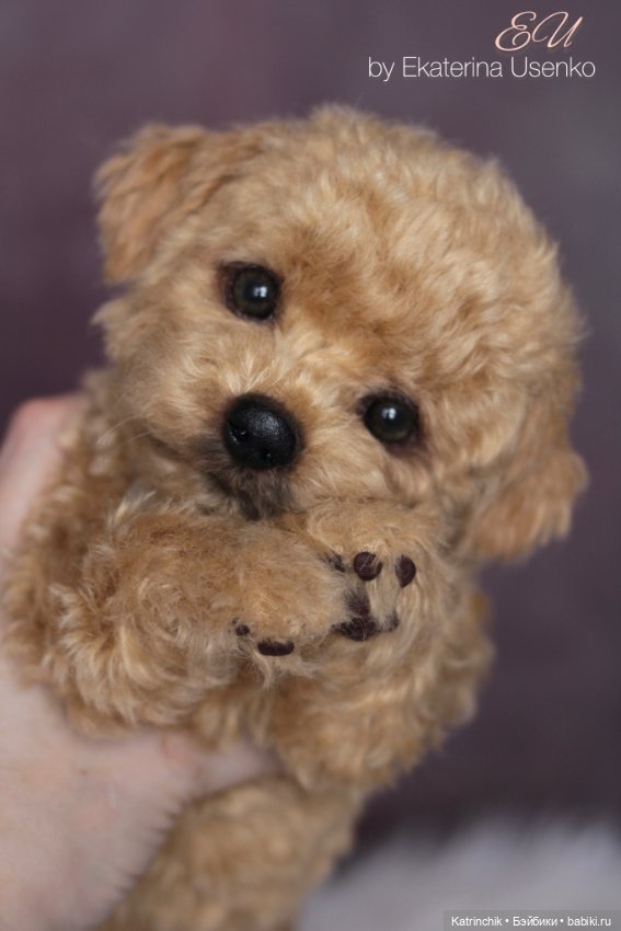 Щенок мальтипу — Авторские мишки Тедди и друзья: фото