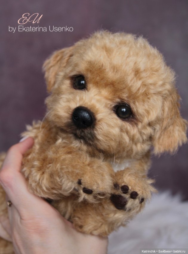 Щенок мальтипу — Авторские мишки Тедди и друзья: фото (фото 5)