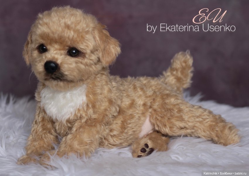 Щенок мальтипу — Авторские мишки Тедди и друзья: фото