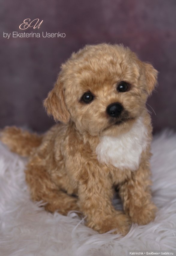 Щенок мальтипу — Авторские мишки Тедди и друзья: фото (фото 9)