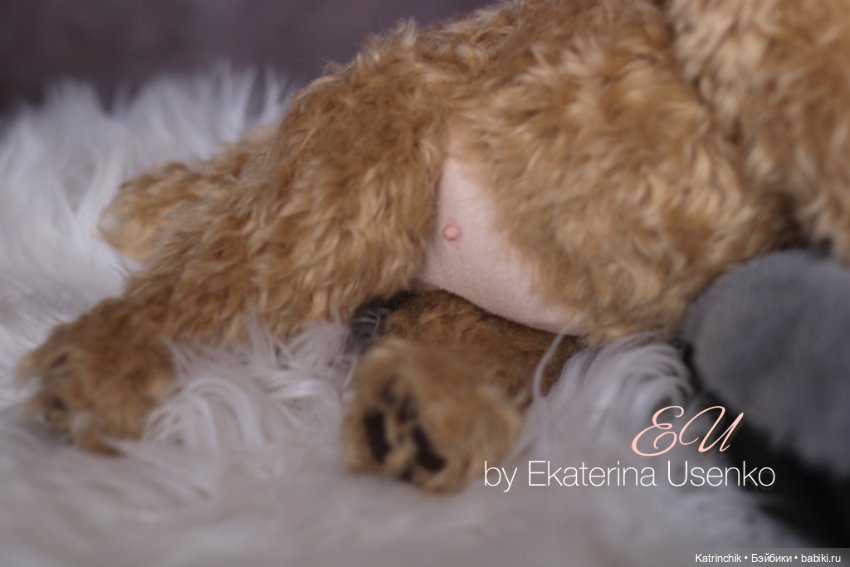 Щенок мальтипу — Авторские мишки Тедди и друзья: фото