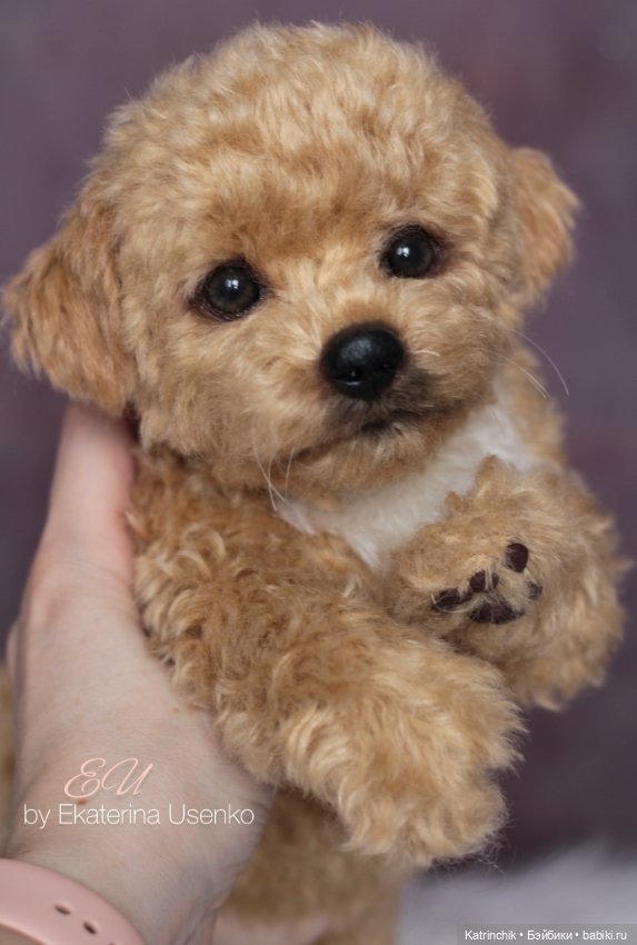 Щенок мальтипу — Авторские мишки Тедди и друзья: фото (фото 3)