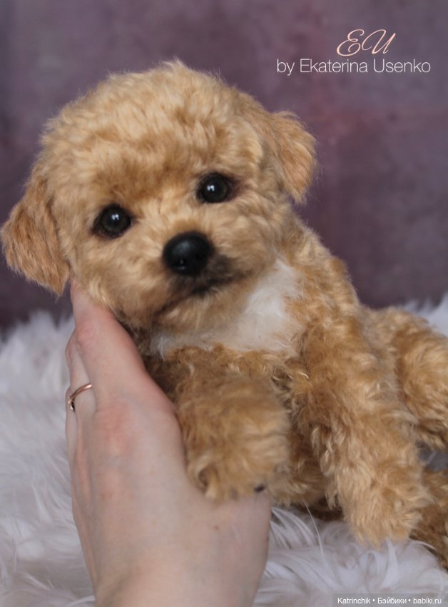 Щенок мальтипу — Авторские мишки Тедди и друзья: фото (фото 6)