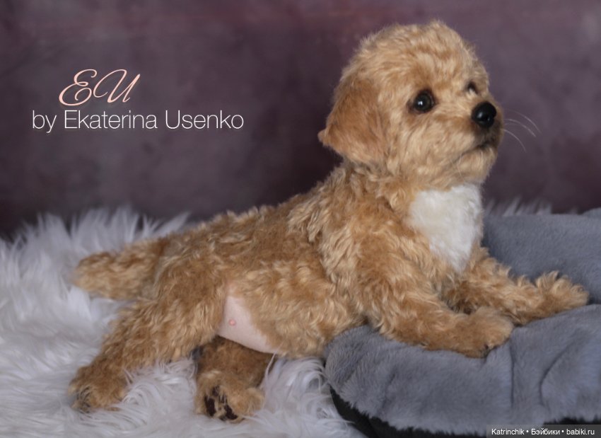 Щенок мальтипу — Авторские мишки Тедди и друзья: фото