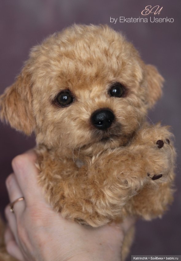 Щенок мальтипу — Авторские мишки Тедди и друзья: фото (фото 2)