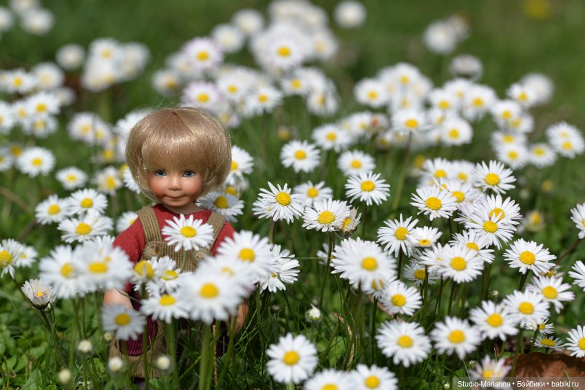 Мини Мии и Фродо на прогулке (фото 10)