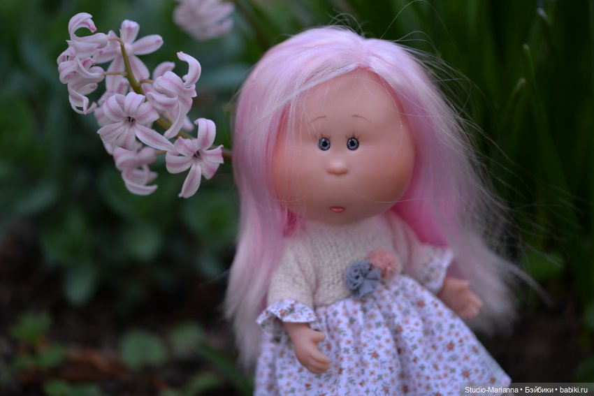 Мини Мии и Фродо на прогулке