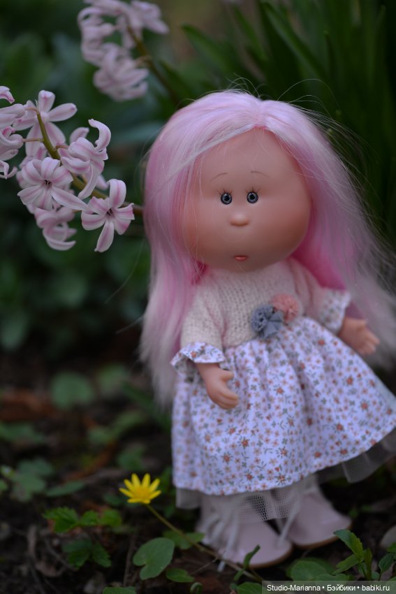 Мини Мии и Фродо на прогулке