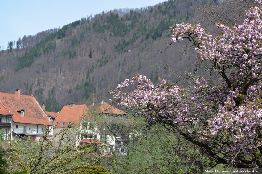 Мини Мии и Фродо на прогулке