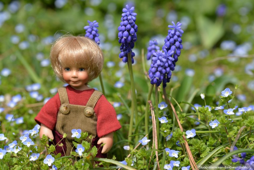 Мини Мии и Фродо на прогулке (фото 9)