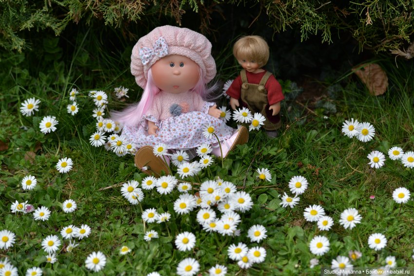 Мини Мии и Фродо на прогулке (фото 7)