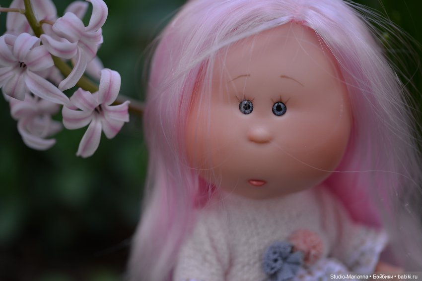 Мини Мии и Фродо на прогулке