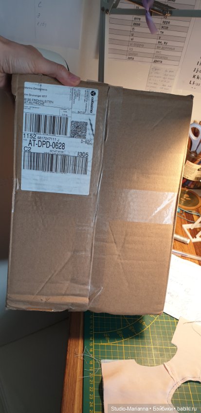 Мини Мии и Фродо на прогулке