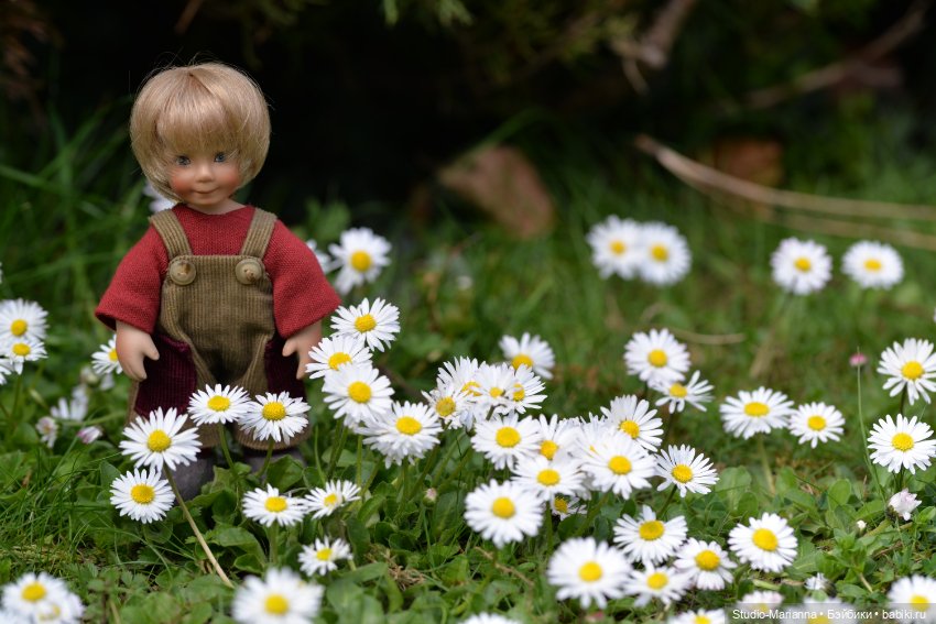 Мини Мии и Фродо на прогулке (фото 8)