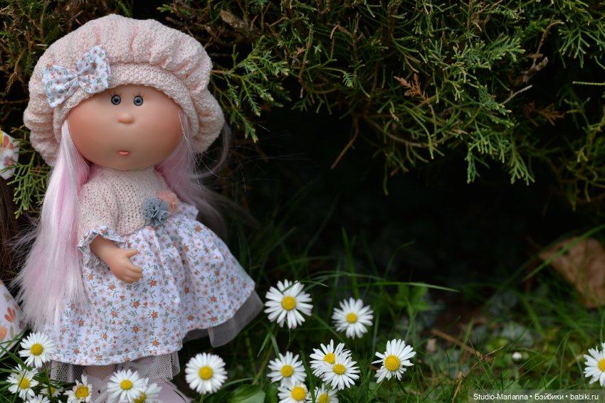 Мини Мии и Фродо на прогулке (фото 6)