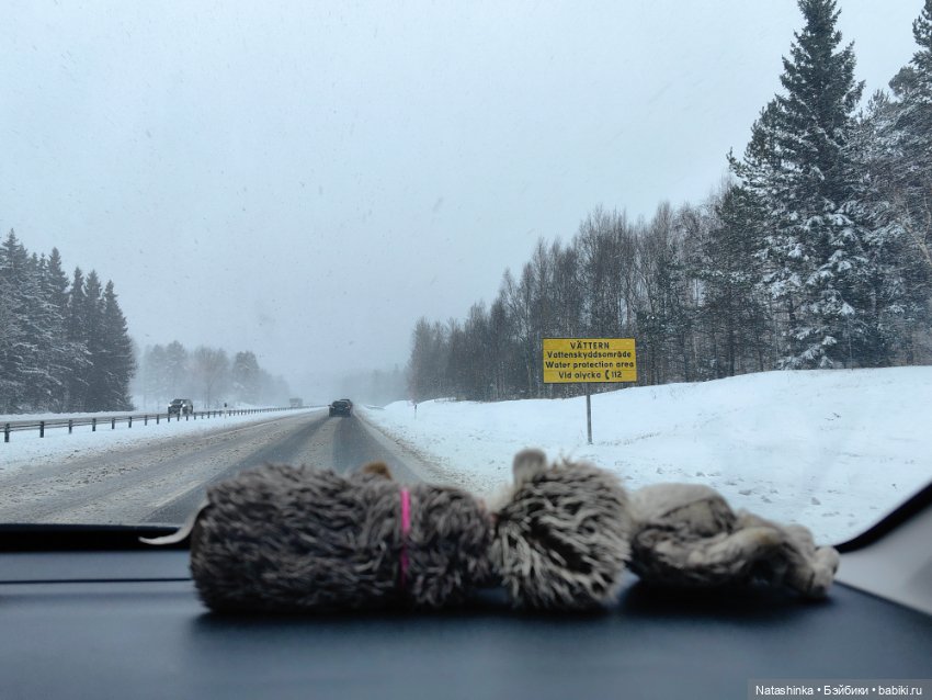 Музыкальная История 117 — Туризм и путешествия: фотоотчеты из поездок