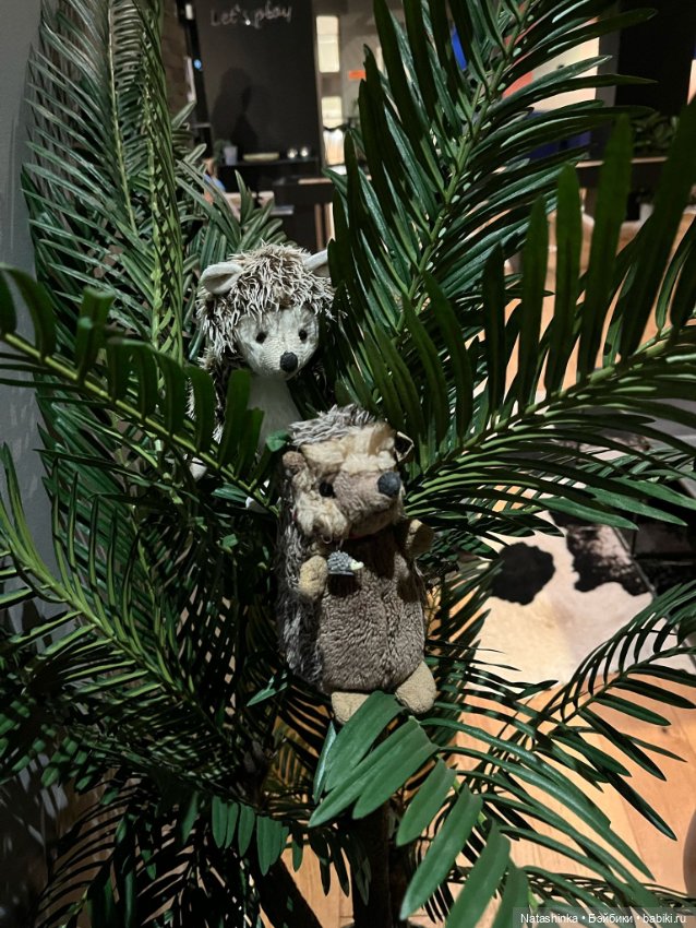 Музыкальная История 117 — Туризм и путешествия: фотоотчеты из поездок (фото 8)