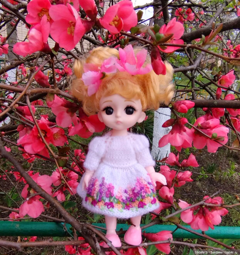 Волшебство, когда цветут сады. Японская айва (фото 3)