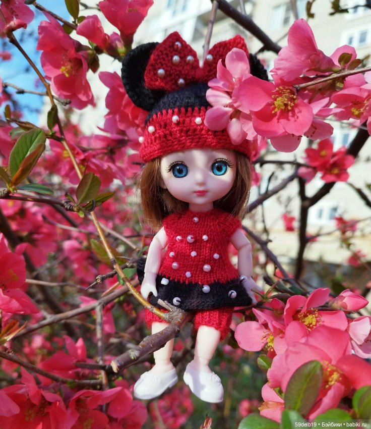 Волшебство, когда цветут сады. Японская айва (фото 2)