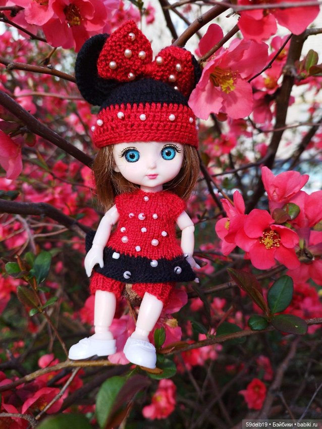 Волшебство, когда цветут сады. Японская айва