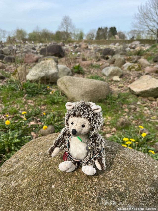 Музыкальная История 118 — Туризм и путешествия: фотоотчеты из поездок