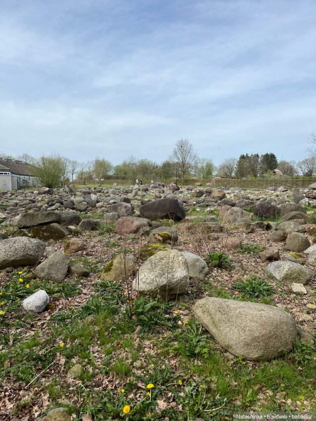 Музыкальная История 118 — Туризм и путешествия: фотоотчеты из поездок