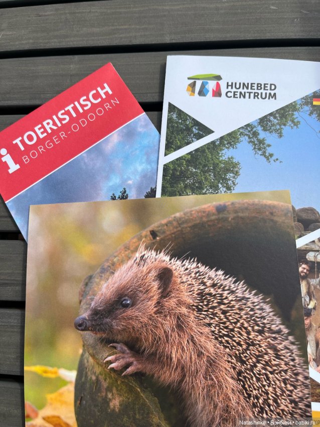 Музыкальная История 118 — Туризм и путешествия: фотоотчеты из поездок