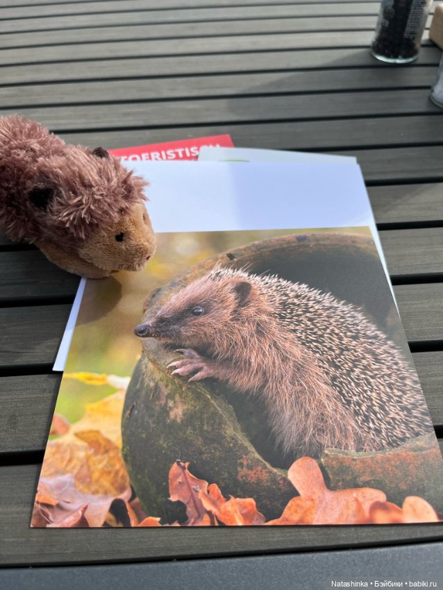 Музыкальная История 118 — Туризм и путешествия: фотоотчеты из поездок