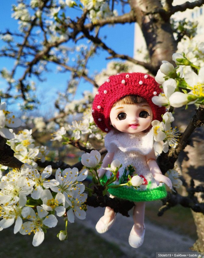 Волшебство, когда цветут сады. Вишнёвый сад (фото 5)