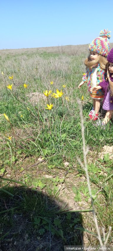 Весна — Куклы Paola Reina (Паола Рейна): новинки (фото 5)