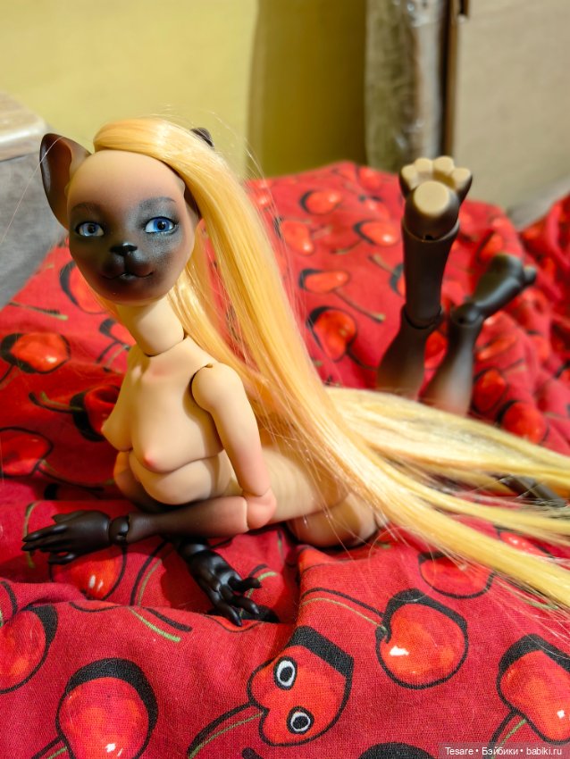 Кошка, которая делает кусь