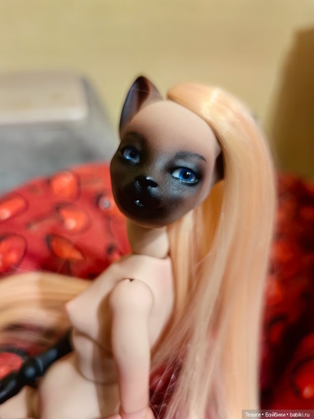 Кошка, которая делает кусь