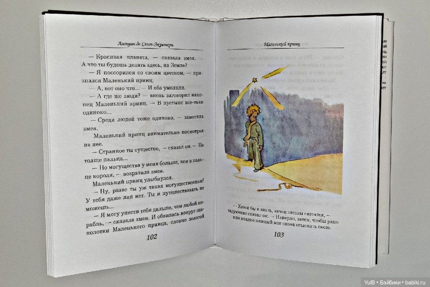 Ещё один Маленький Принц — Интересное и необычное: фотоподборки (фото 7)