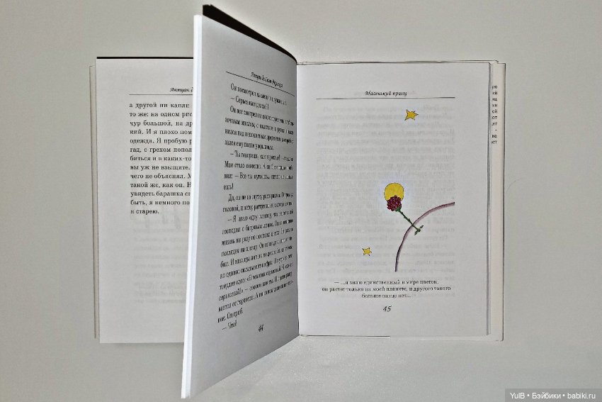 Ещё один Маленький Принц — Интересное и необычное: фотоподборки (фото 5)