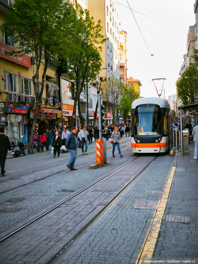 Каникулы Громовых. Эскишехир. Начало пути (фото 6)