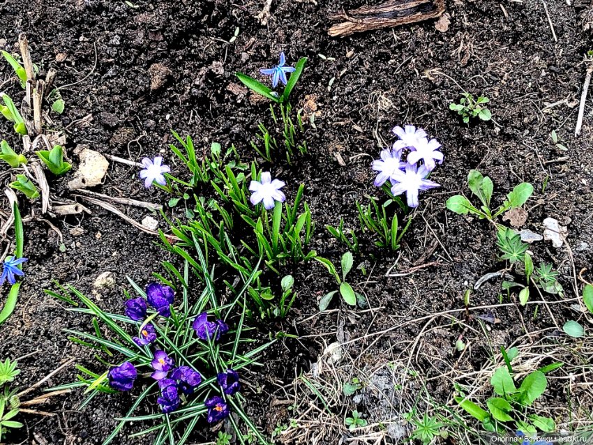 Мой мартовский кот — Игрушки СССР и советского детства: резиновые