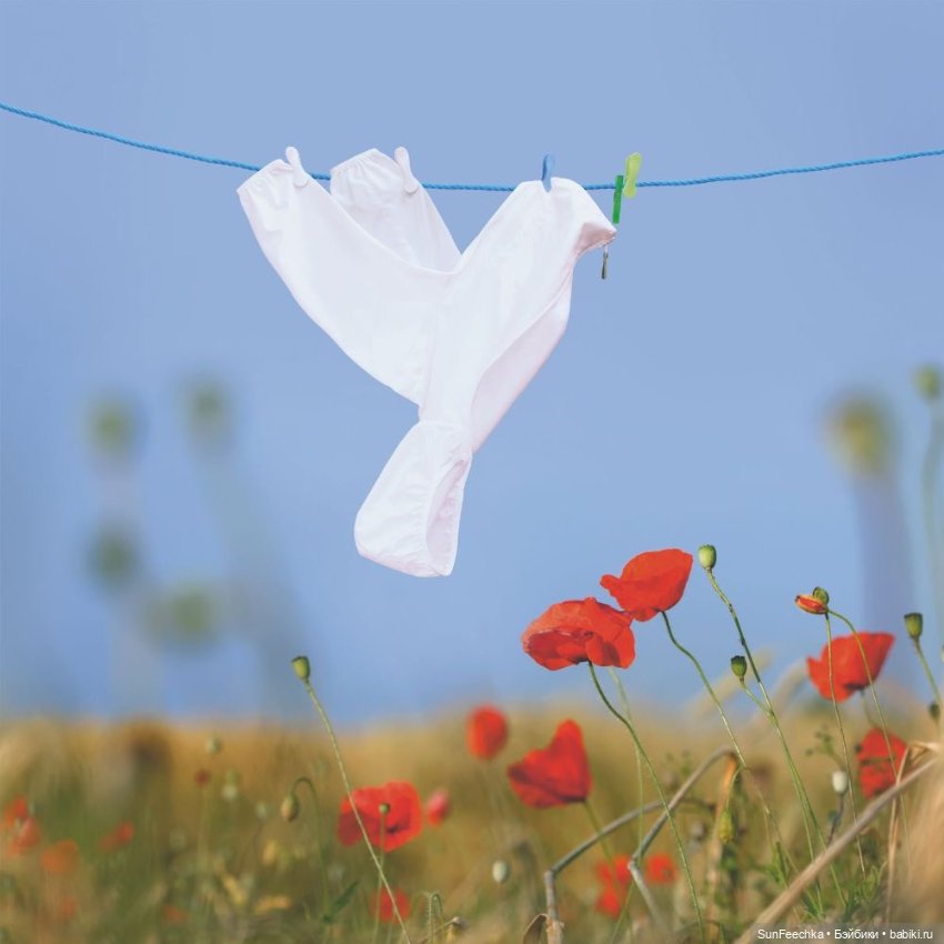 Фантазии — В мире животных: смешные фото питомцев и зверей (фото 7)