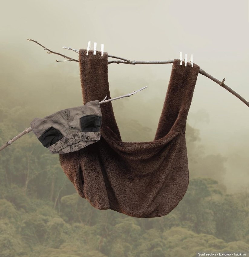 Фантазии — В мире животных: смешные фото питомцев и зверей (фото 3)